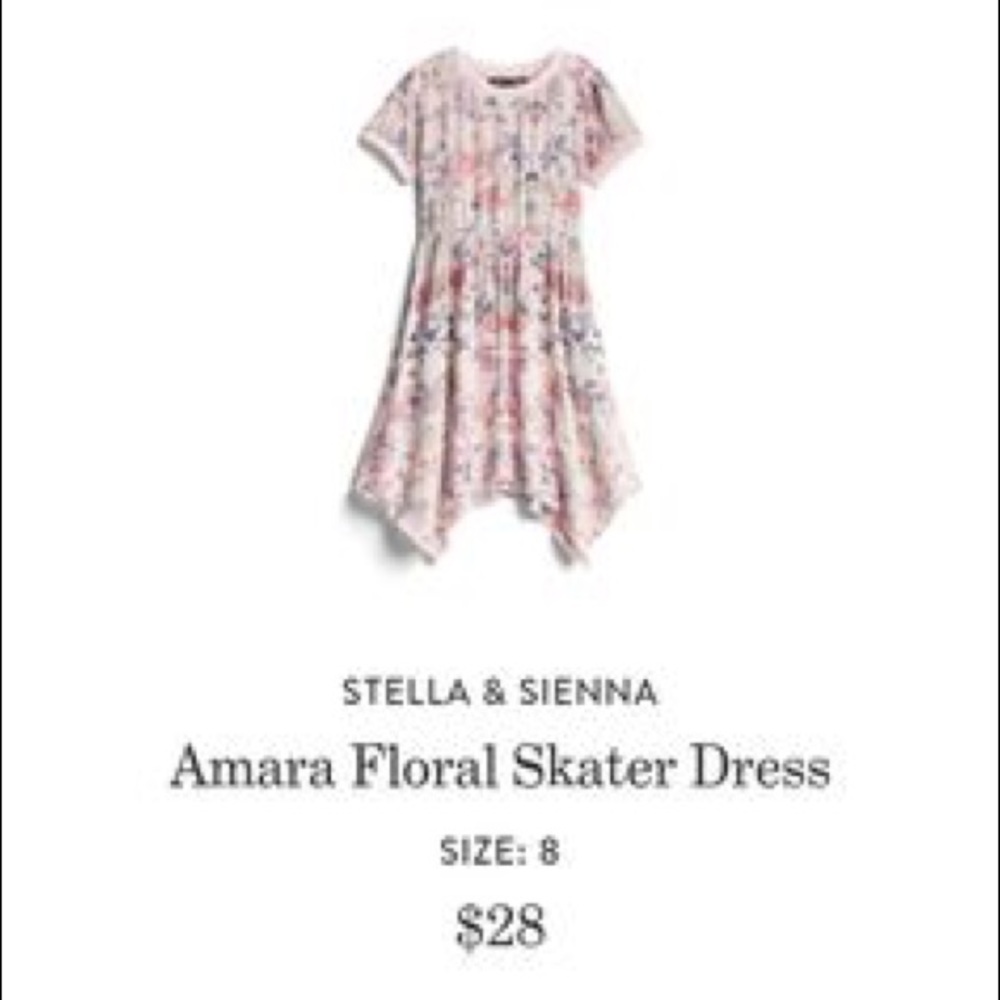 Stella and sienna skater dress